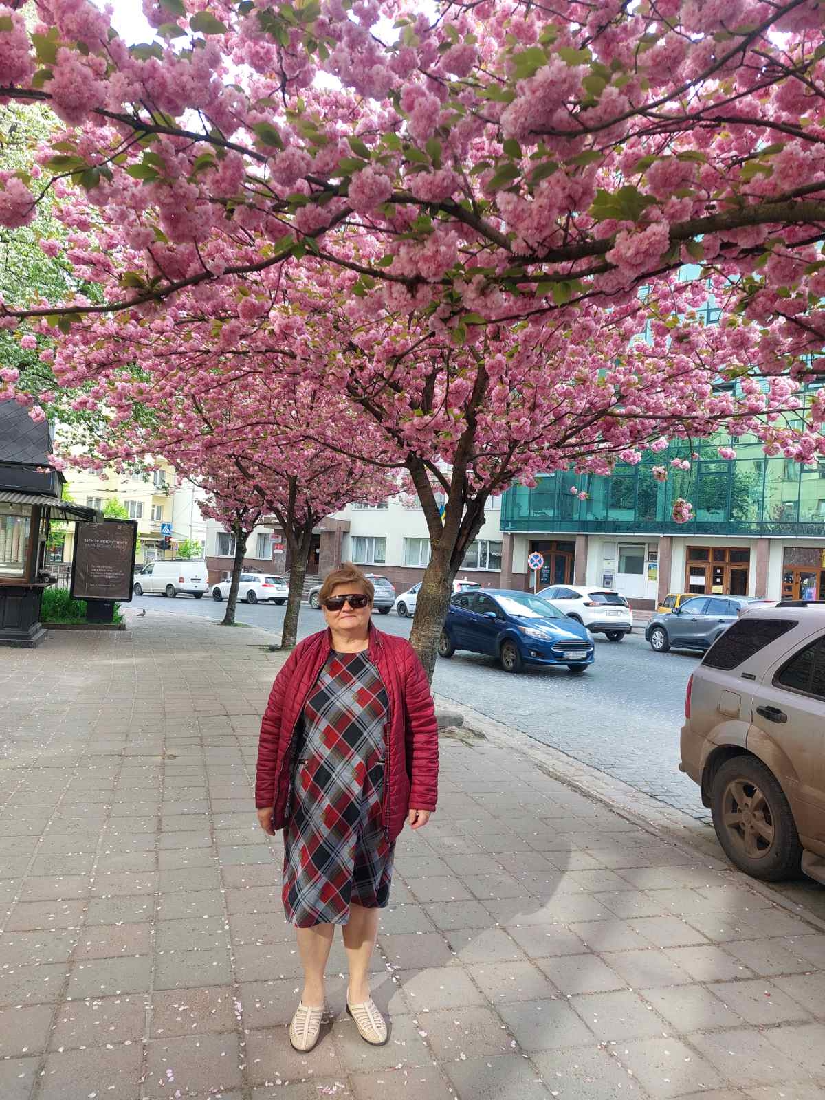 Світлана Реулець